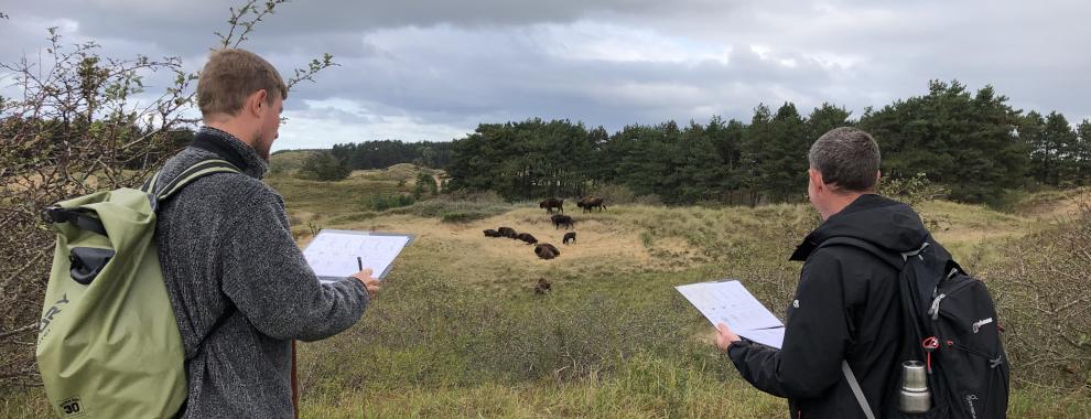 Donovan en Thomas bestudeeren de wisent