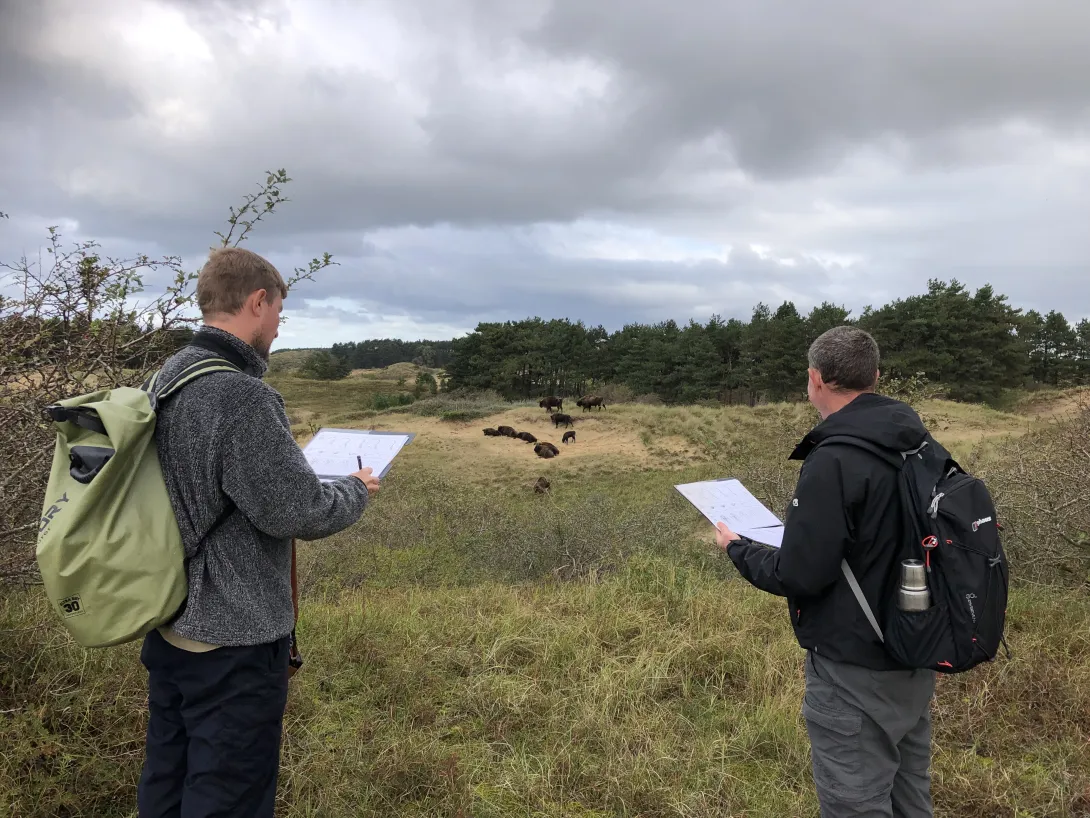 Donovan en Thomas bestudeeren de wisent